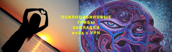 индика Вязники